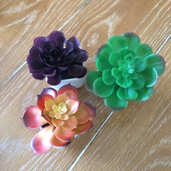 $5 SALE ⛄️ 3 faux succulents - Picture 2 of 5